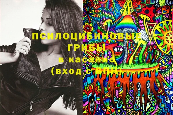 сатива Абдулино