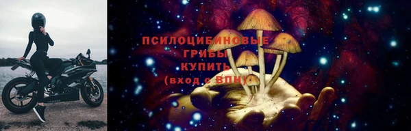 spice Абаза