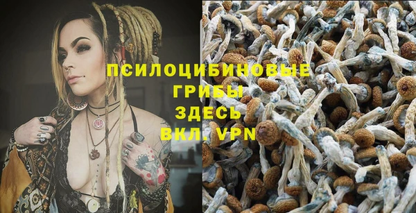 не бодяженный Абинск