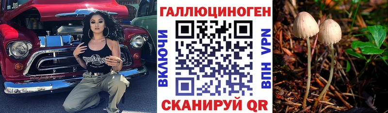 магазин продажи наркотиков  Красновишерск  Галлюциногенные грибы Cubensis 